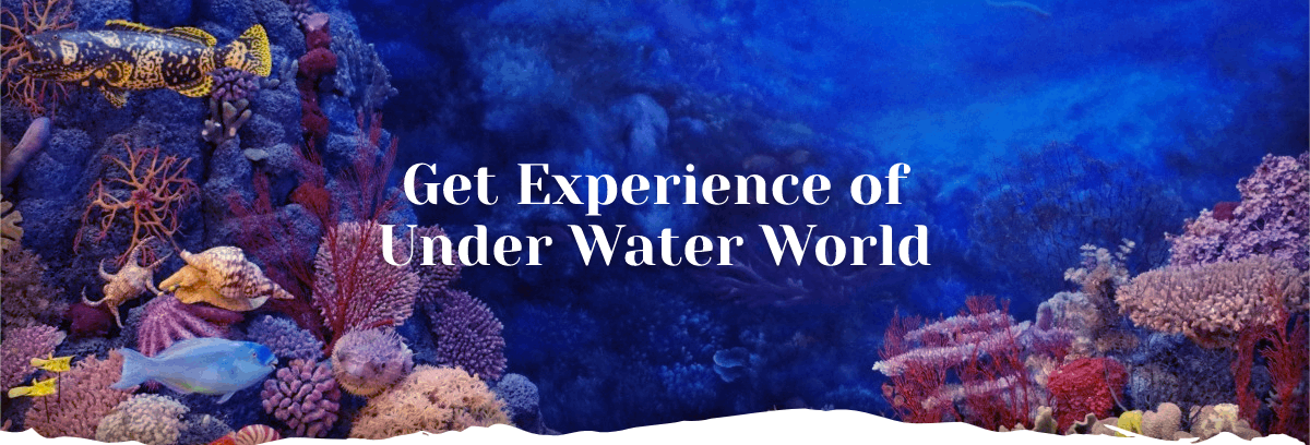 Fish Magazine Banner