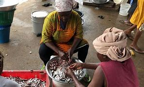 Ogbia Fish Market