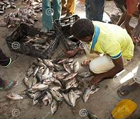 Southern Ijaw Fish Market